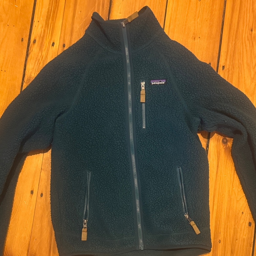 Patagonia Men’s Retro Pile Fleece